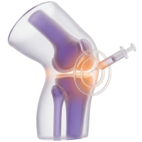 Ортобіологія